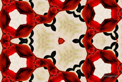 The Kaleidoscope Of Life 0151