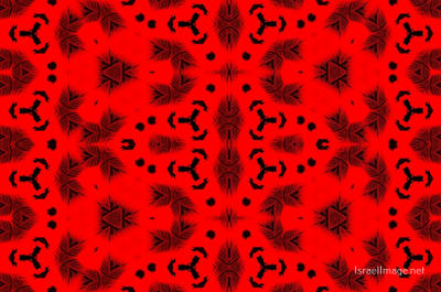 The Kaleidoscope Of Life 0152
