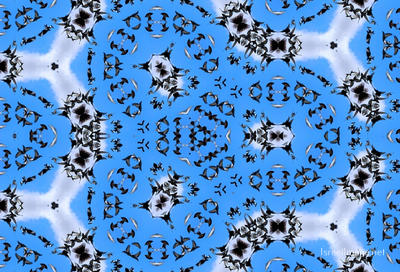 The Kaleidoscope Of Life 0153