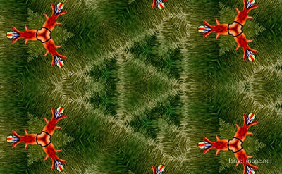 The Kaleidoscope Of Life 0156