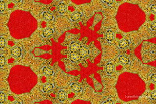 the kaleidoscope of life The Kaleidoscope Of Life 0157