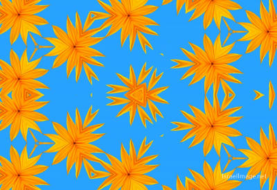 The Kaleidoscope Of Life 0158