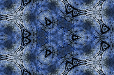 The Kaleidoscope Of Life 0159