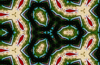 the kaleidoscope of life The Kaleidoscope Of Life 0163