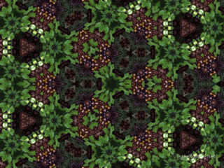 the kaleidoscope of life The Kaleidoscope Of Life 0168
