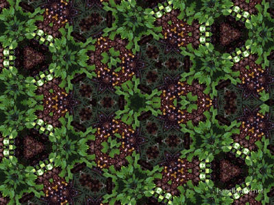 The Kaleidoscope Of Life 0168