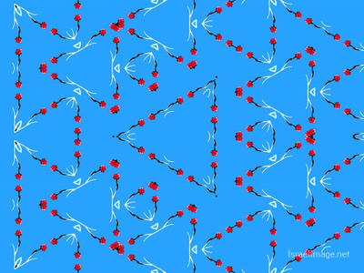 The Kaleidoscope Of Life 0170