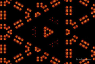 the kaleidoscope of life The Kaleidoscope Of Life 0178