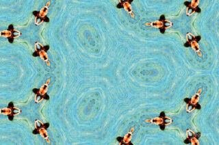 the kaleidoscope of life The Kaleidoscope Of Life 0179