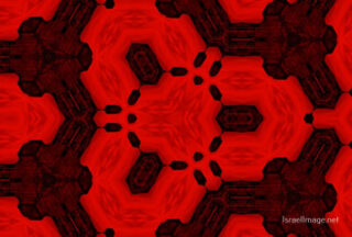 the kaleidoscope of life The Kaleidoscope Of Life 0180