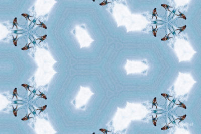 The Kaleidoscope Of Life 0181