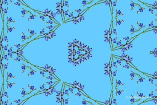 the kaleidoscope of life The Kaleidoscope Of Life 0183