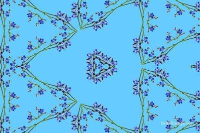 The Kaleidoscope Of Life 0183