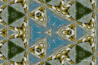 the kaleidoscope of life The Kaleidoscope Of Life 0184