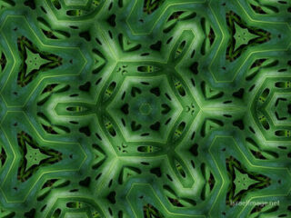 the kaleidoscope of life The Kaleidoscope Of Life 0185