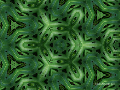 The Kaleidoscope Of Life 0185