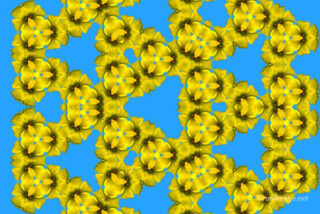 the kaleidoscope of life The Kaleidoscope Of Life 0188