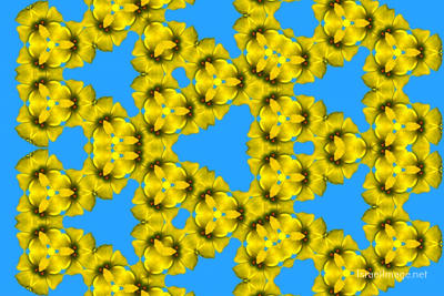 The Kaleidoscope Of Life 0188