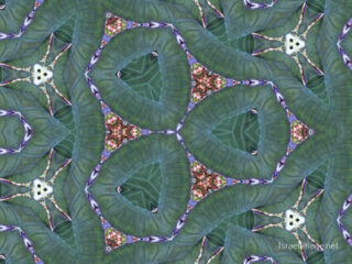 the kaleidoscope of life The Kaleidoscope Of Life 0189