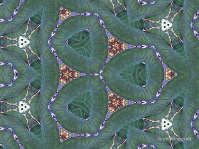 The Kaleidoscope Of Life 0189