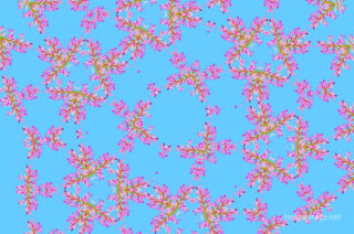the kaleidoscope of life The Kaleidoscope Of Life 0193