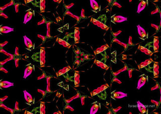 the kaleidoscope of life The Kaleidoscope Of Life 0194