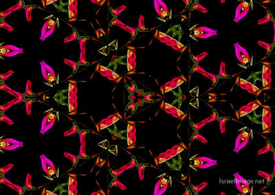 The Kaleidoscope Of Life 0194