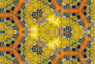 the kaleidoscope of life The Kaleidoscope Of Life 0195