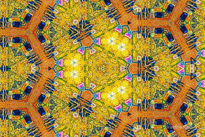 The Kaleidoscope Of Life 0195