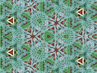 the kaleidoscope of life The Kaleidoscope Of Life 0197