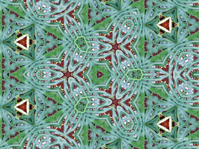 The Kaleidoscope Of Life 0197