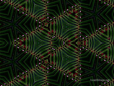 The Kaleidoscope Of Life 0198