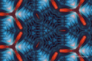 the kaleidoscope of life The Kaleidoscope Of Life 0199