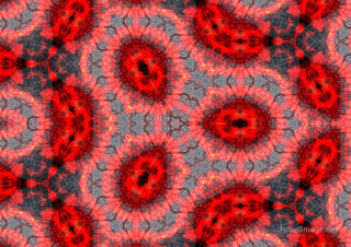 the kaleidoscope of life The Kaleidoscope Of Life 0203