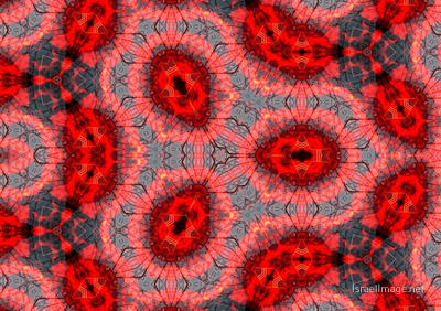 The Kaleidoscope Of Life 0203