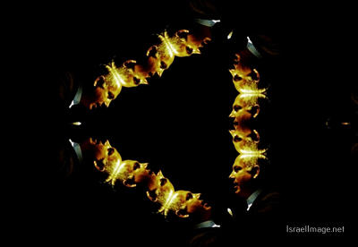 The Kaleidoscope Of Life 0204