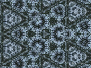 pho-kal-the kaleidoscope of life 0206th The Kaleidoscope Of Life 0206