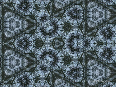 The Kaleidoscope Of Life 0206