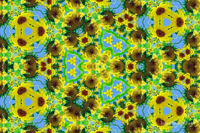 The Kaleidoscope Of Life 0209