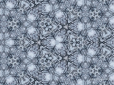 The Kaleidoscope Of Life 0211