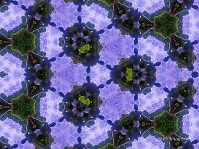 The Kaleidoscope Of Life 0214