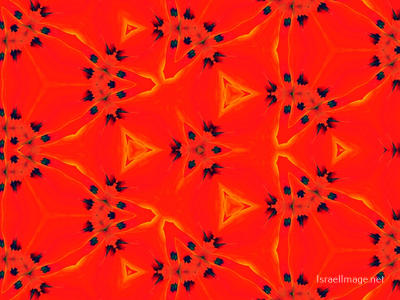 The Kaleidoscope Of Life 0215
