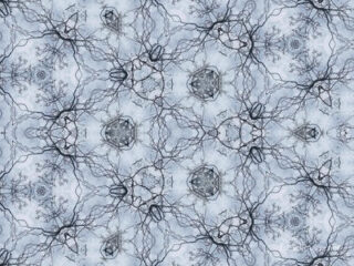 The Kaleidoscope Of Life 0218