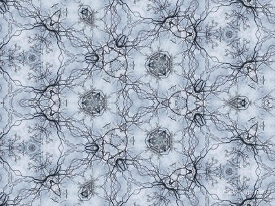 The Kaleidoscope Of Life 0218