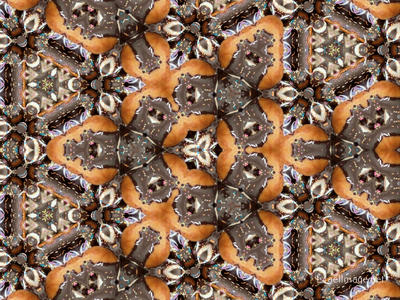 The Kaleidoscope Of Life 0219