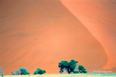 Namibia Sossusvlei 0021