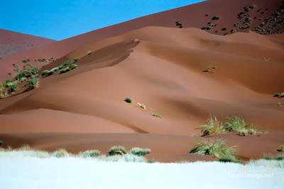 Namibia Sossusvlei 0027