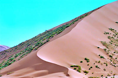 Namibia Sossusvlei 0035