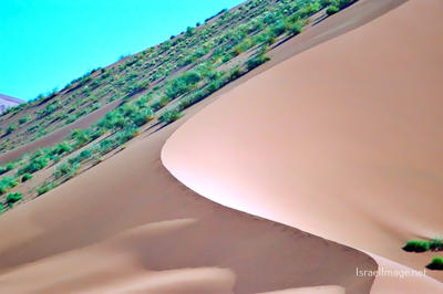 Namibia Sossusvlei 0036
