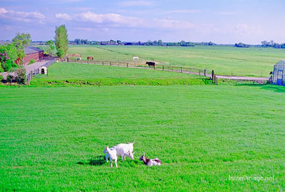 Netherlands 0016